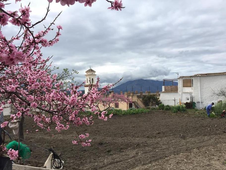 La Casa Rural De Paco Y Ana Питрес Экстерьер фото