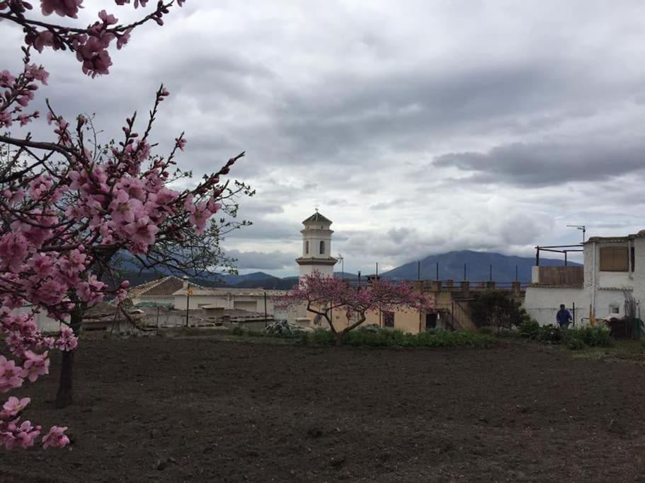 La Casa Rural De Paco Y Ana Питрес Экстерьер фото