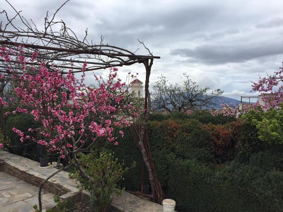 La Casa Rural De Paco Y Ana Питрес Экстерьер фото